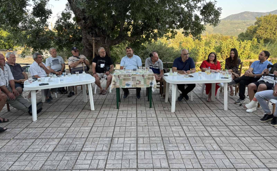 Δελτίο Τύπου