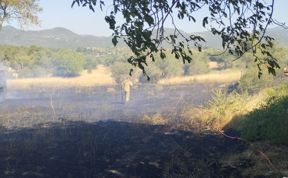 Δελτίο Τύπου