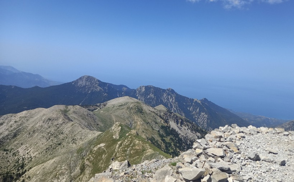 Δελτίο Τύπου