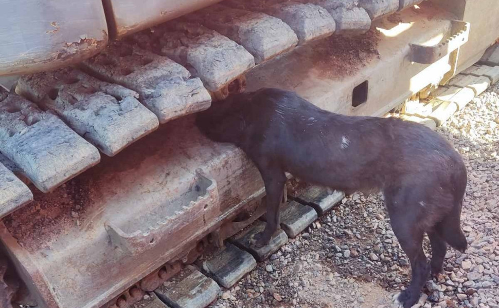 Δελτίο Τύπου