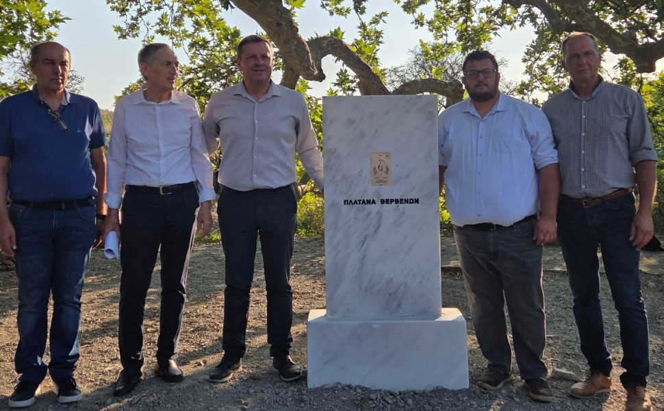 Δελτίο Τύπου