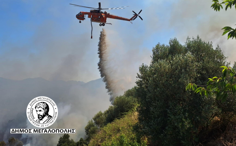 Δελτίο Τύπου