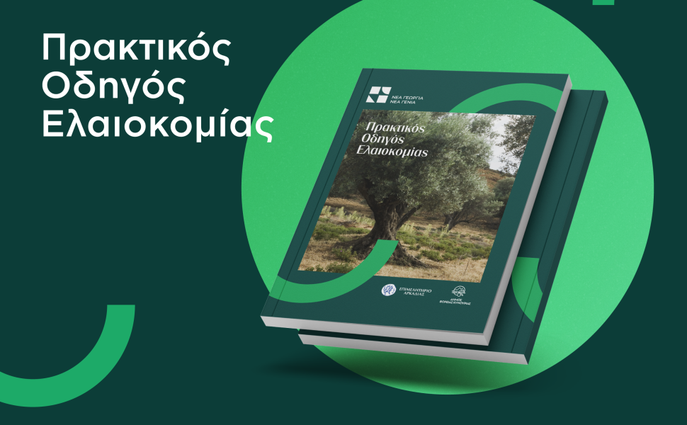 Δελτίο Τύπου