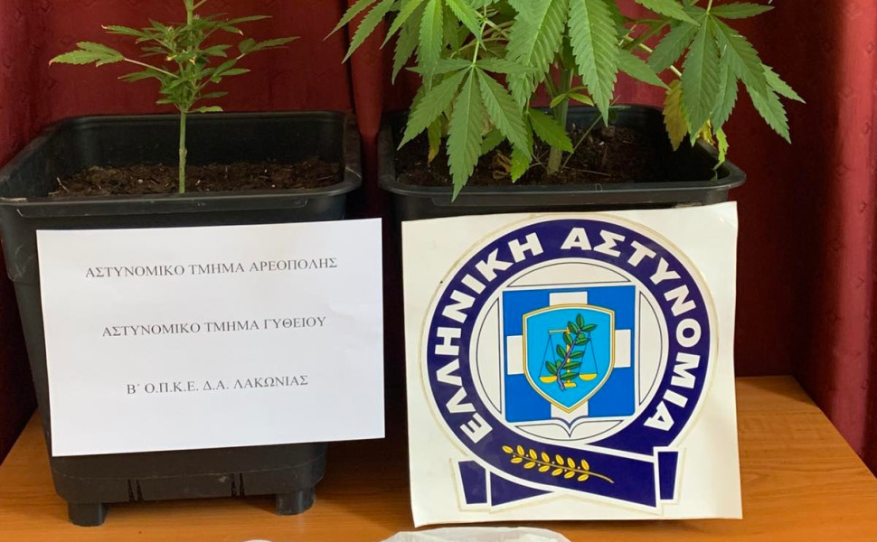 Δελτίο Τύπου