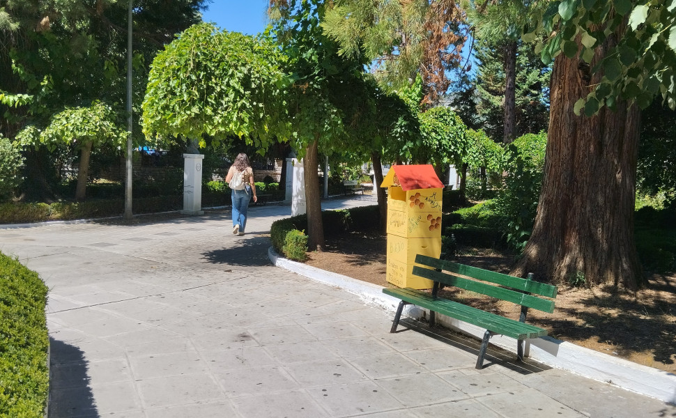 Δελτίο Τύπου