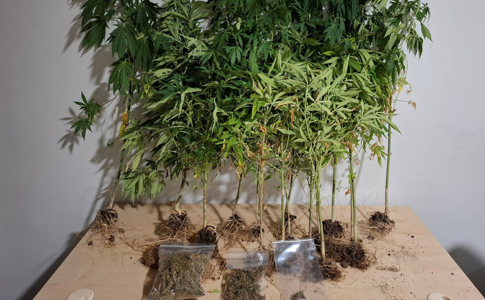 Δελτίο Τύπου