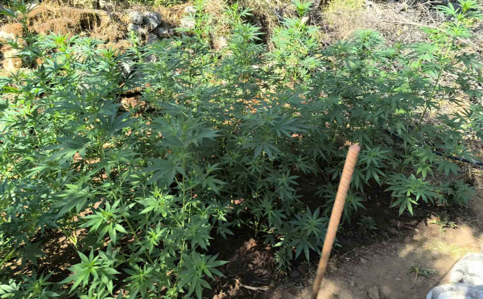 Δελτίου Τύπου