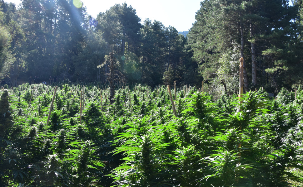 αρχείου (Δ.Τ.)