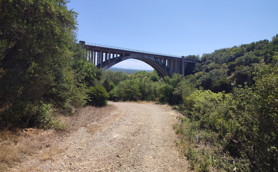 Δελτίο Τύπου