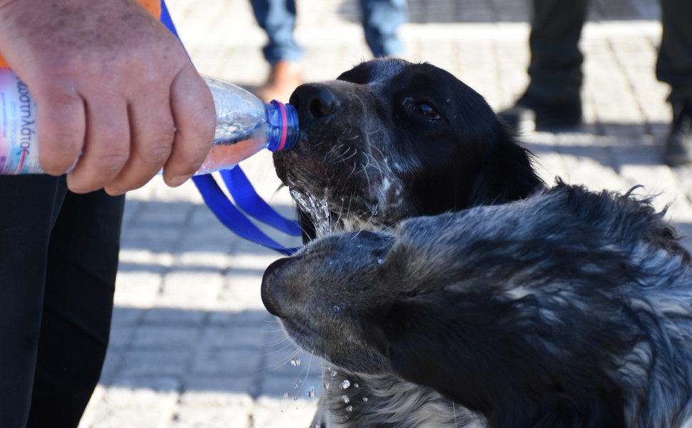 Eurokinissi-ΠΑΠΑΔΟΠΟΥΛΟΣ ΒΑΣΙΛΗΣ