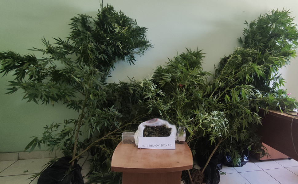 Δελτίο Τύπου