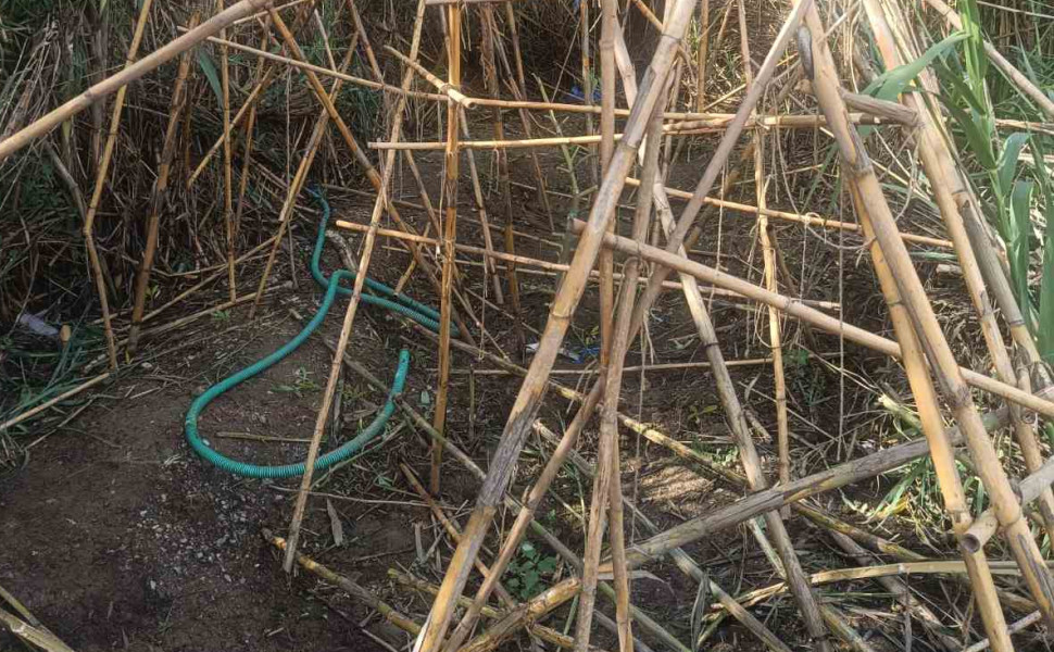 Δελτίο Τύπου