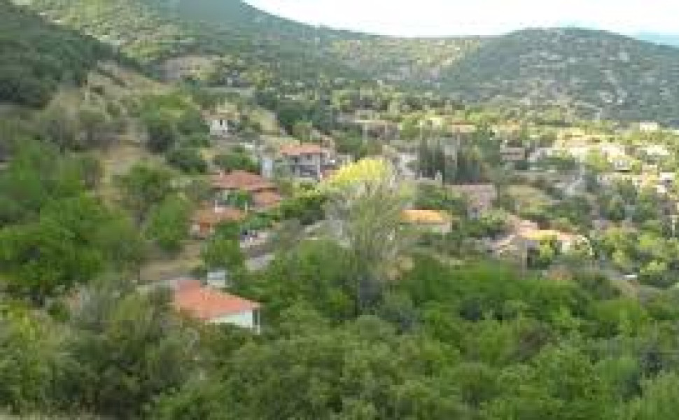 Δελτίο Τύπου