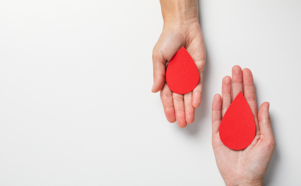 Δελτίο Τύπου