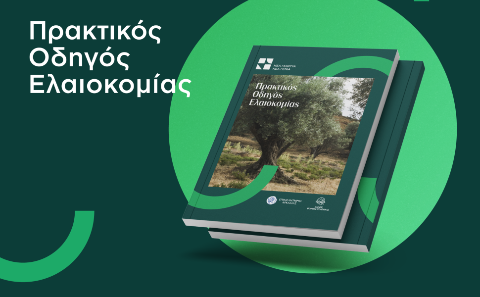 Δελτίο Τύπου