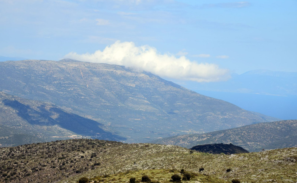 Δελτίο Τύπου