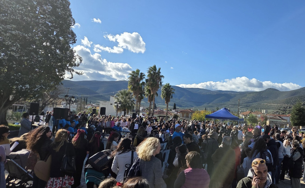 Δελτίο Τύπου